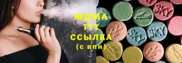 индика Алексин