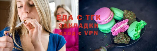 индика Алексин