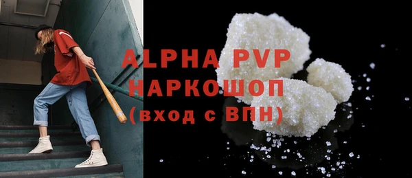 индика Алексин