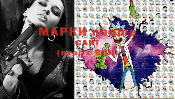 индика Алексин