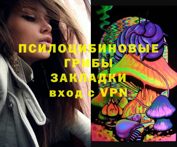 индика Алексин