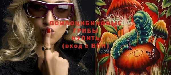 индика Алексин