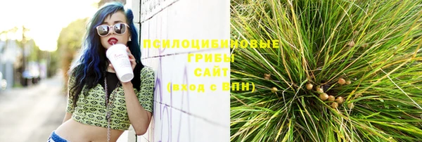 индика Алексин