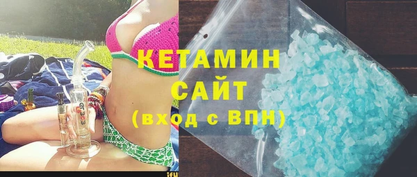 индика Алексин