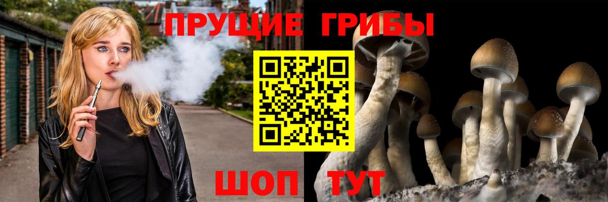 Псилоцибиновые грибы мухоморы Добрянка